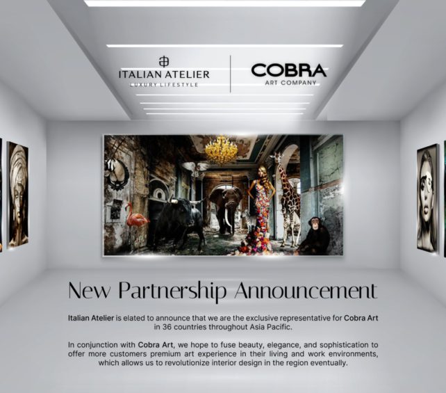Turn your space into a work of art with our new brand: COBRA ART